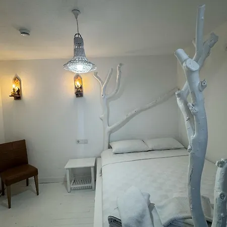 Hotel 1881 *